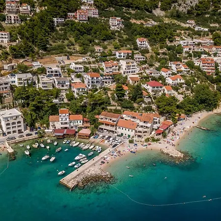 Seahouse H.a.w.k. * Pisak